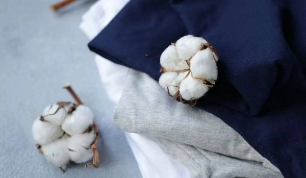 Existe-il du coton respectueux de l'environnement ?