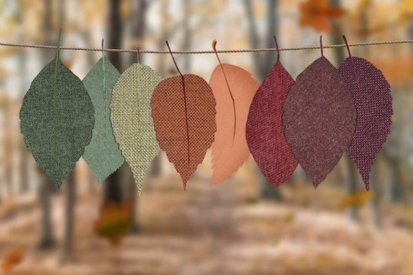Comment choisir une teinture textile respectueuse de l'environnement ?